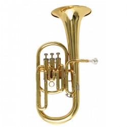 SOUNDSATION SFA-10G