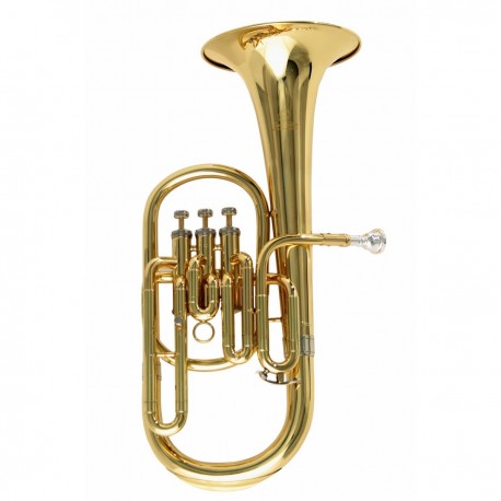 SOUNDSATION SFA-10G