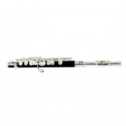 SOUNDSATION SFP-10 