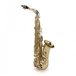 SOUNDSATION SALSX-20 