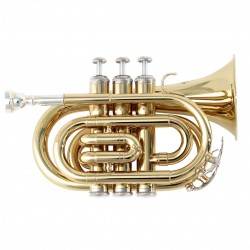 SOUNDSATION STPGD-10P 