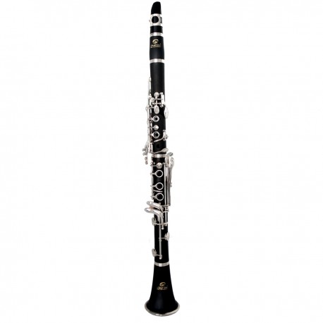 SOUNDSATION SCL-18
