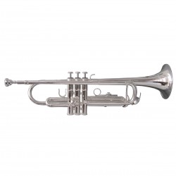 SOUNDSATION STPSL-10