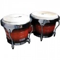 Bongo