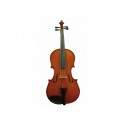 Viole